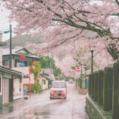 春耕课堂搬进田间地头